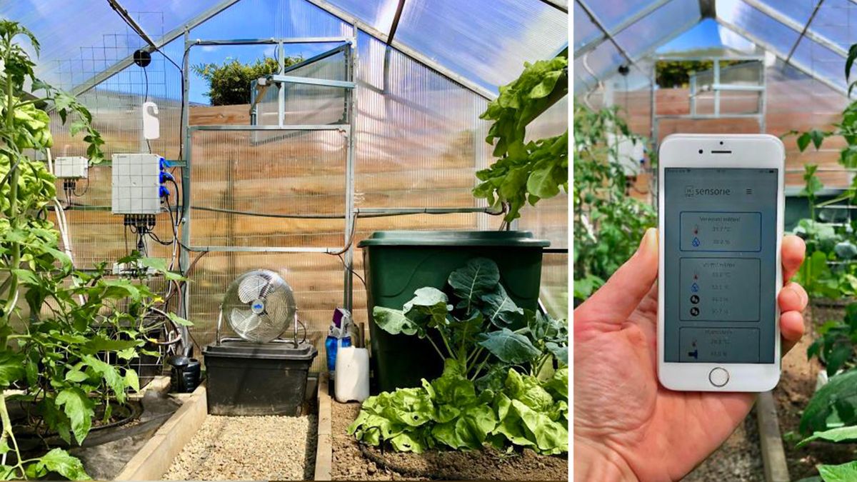 Chytrý skleník umožní sklízet vlastní rajčata i v prosinci